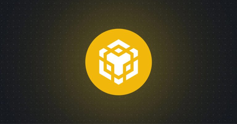 What is Binance Coin (BNB)?
